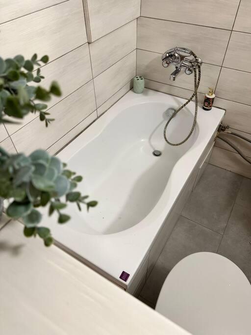 Sunny Apartment In Silesia 첼라드즈 외부 사진
