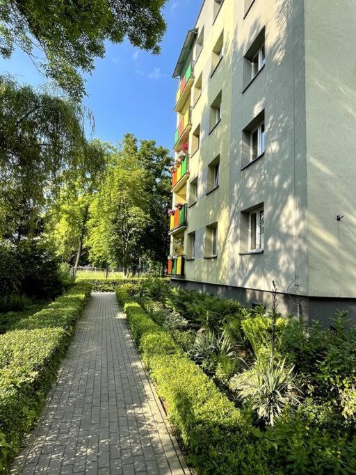 Sunny Apartment In Silesia 첼라드즈 외부 사진